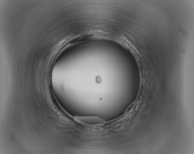 X0000112520193200908171402