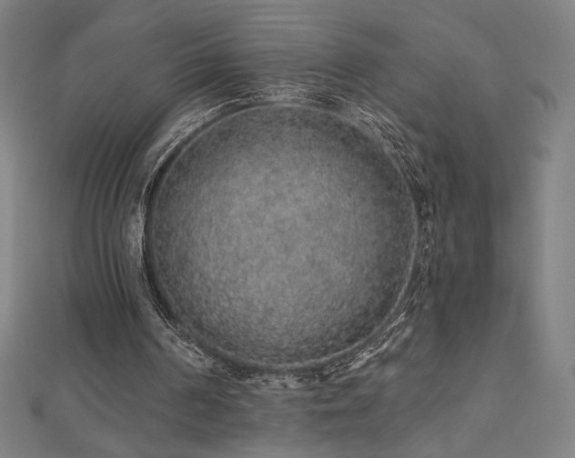 X0000112520194200908171402