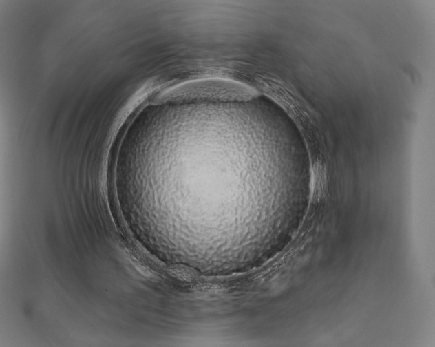 X0000112520195200908171402