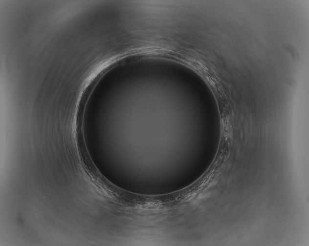 X0000112520196200908171402
