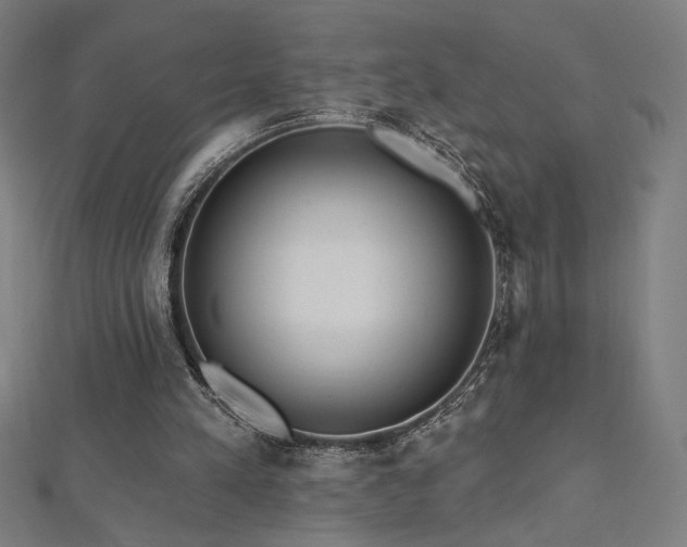 X0000112520197200908171402