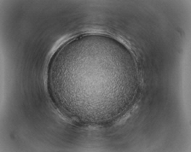 X0000112520199200908171402