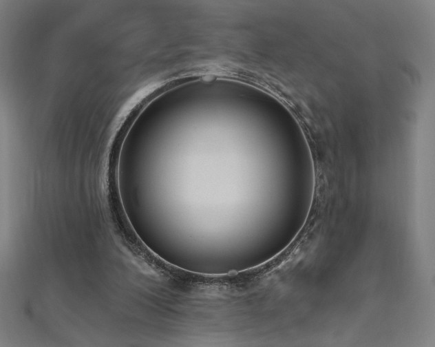 X0000112520200200908171402