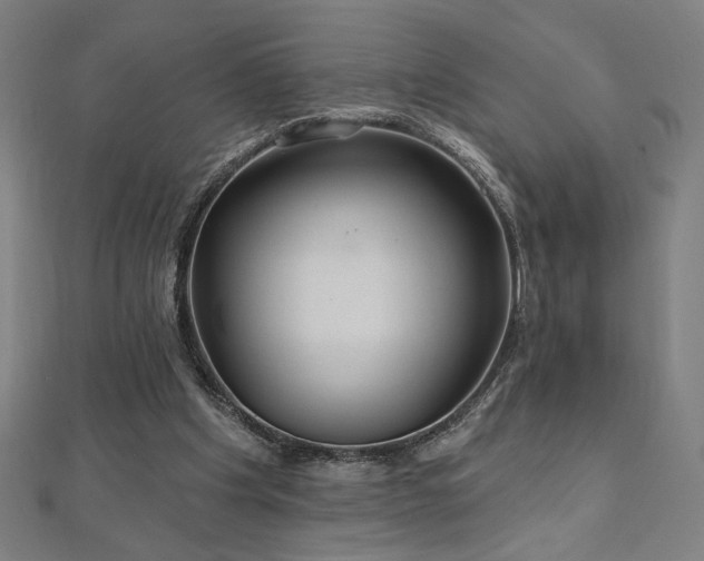 X0000112520201200908171402