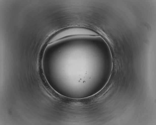 X0000112520203200908171402