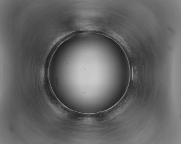 X0000112520204200908171402