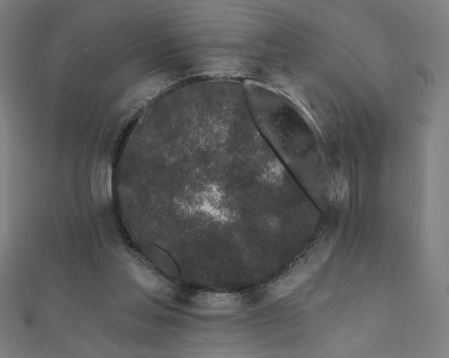 X0000112520205200908171402