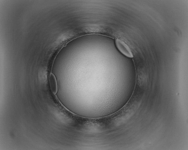 X0000112520207200908171402