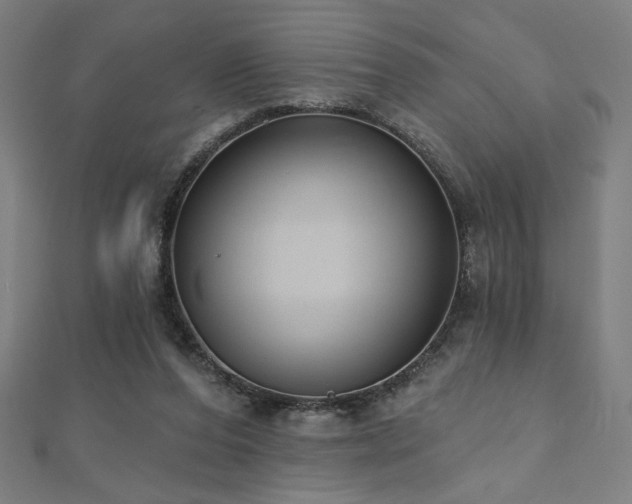 X0000112520208200908171402