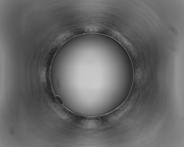 X0000112520209200908171402