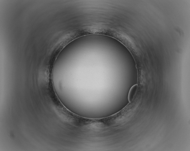 X0000112520210200908171402