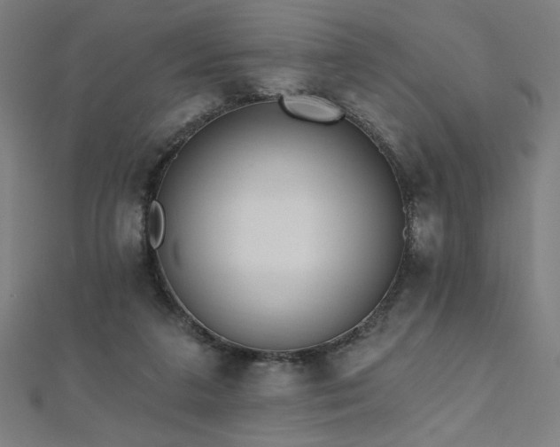 X0000112520211200908171402
