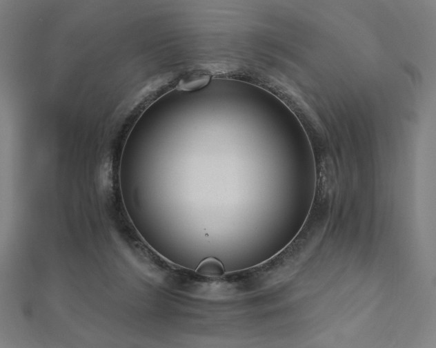 X0000112520212200908171402