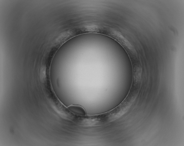 X0000112520213200908171401