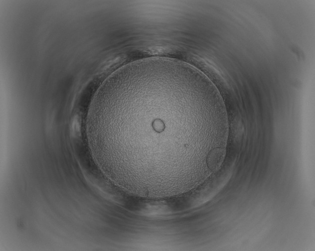 X0000112520214200908171401