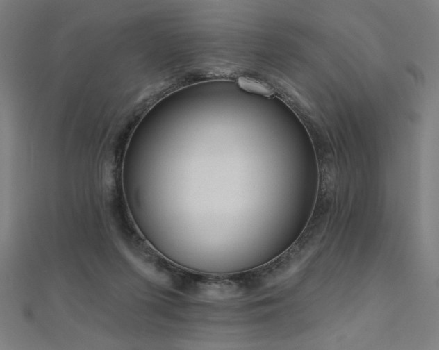 X0000112520215200908171401