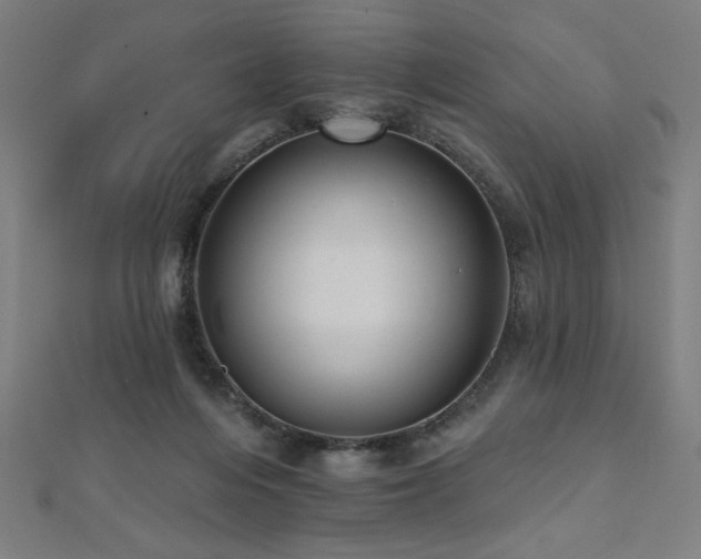 X0000112520216200908171401
