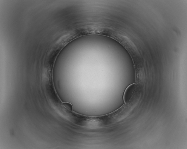 X0000112520218200908171401