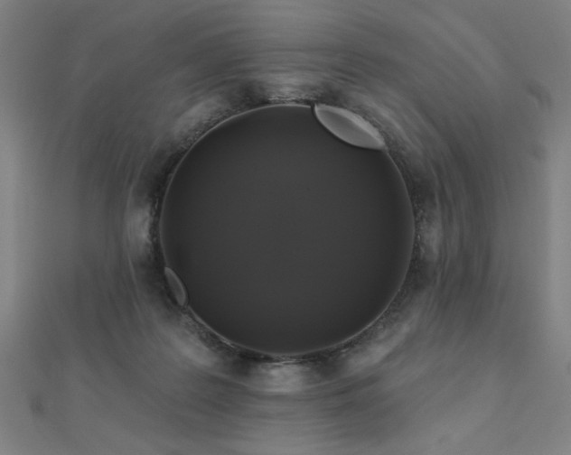 X0000112520219200908171401