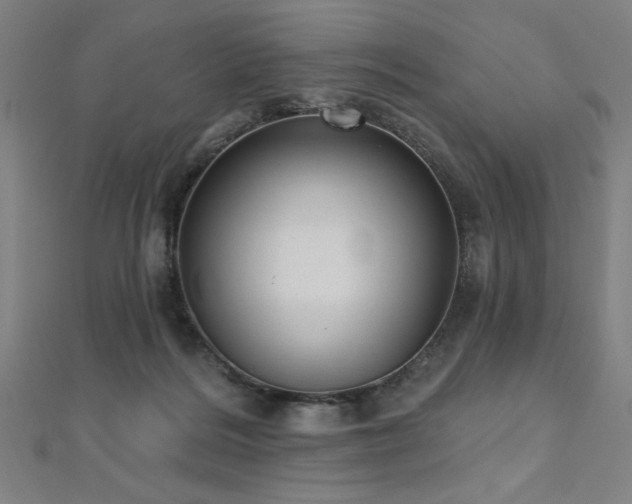 X0000112520220200908171401