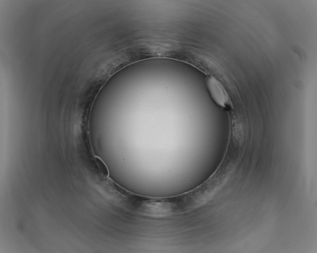 X0000112520221200908171401