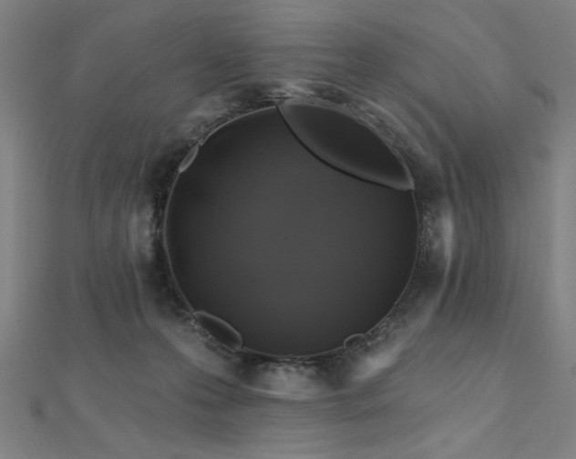 X0000112520223200908171401