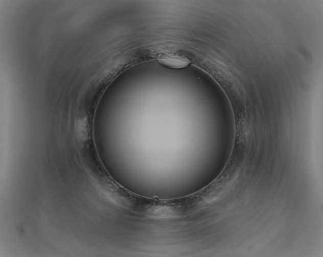 X0000112520224200908171401