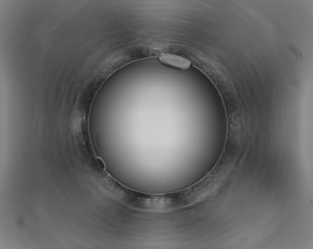 X0000112520225200908171401
