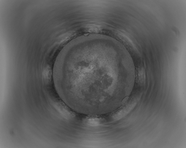 X0000112520228200908171401