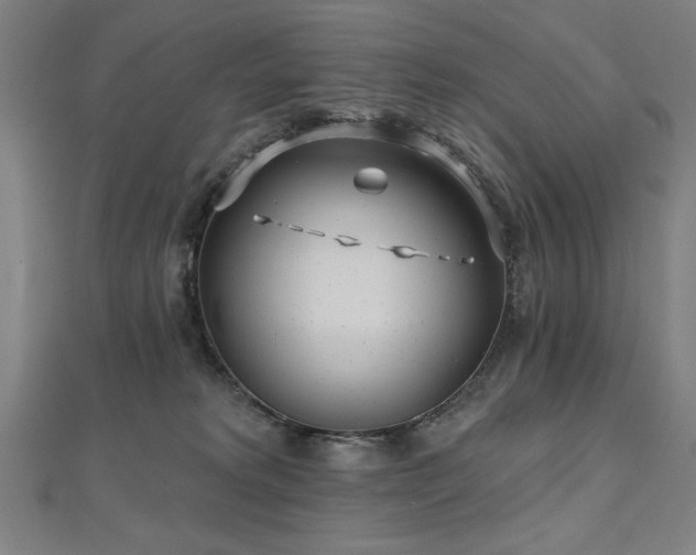 X0000112520229200908171401