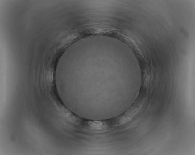 X0000112520230200908171401