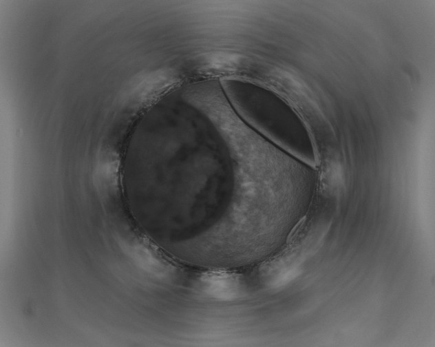 X0000112520231200908171401