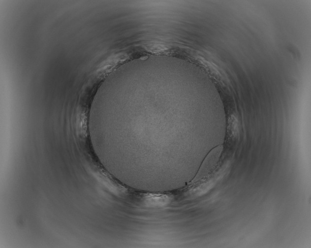 X0000112520234200908171401