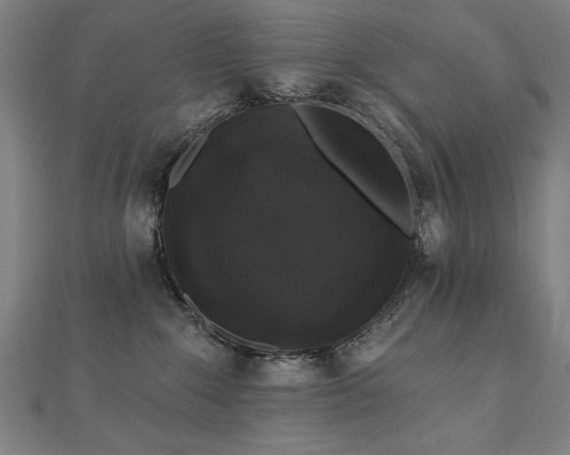 X0000112520235200908171401