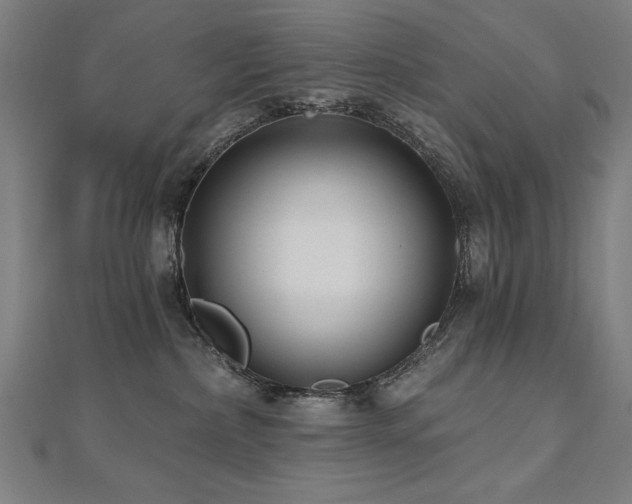 X0000112520236200908171401