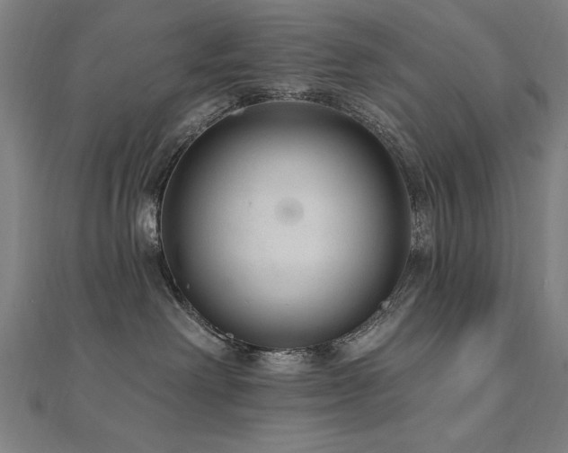 X0000112520238200908171401