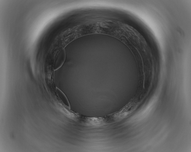 X0000112520239200908171401