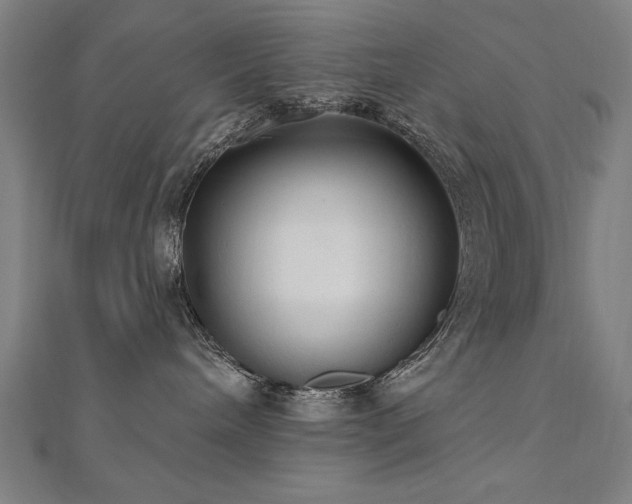 X0000112520240200908171401
