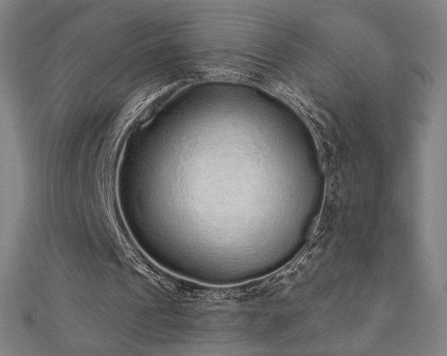 X0000112520241200908171400