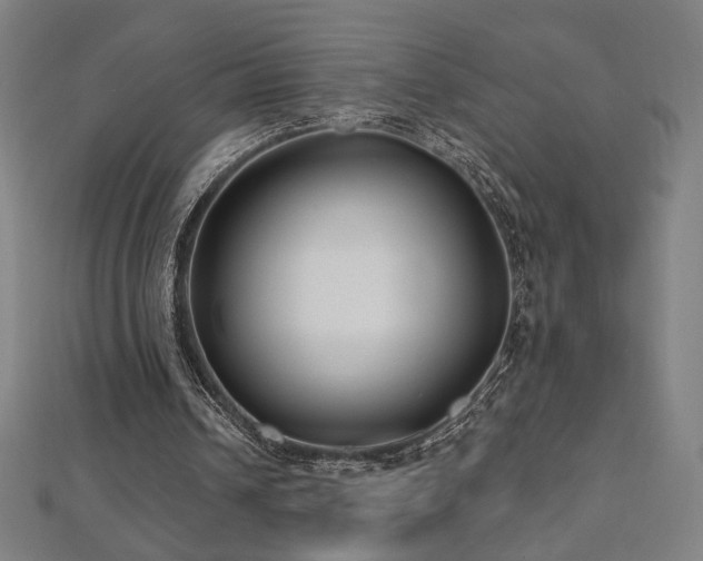 X0000112520242200908171400