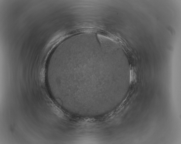 X0000112520243200908171400
