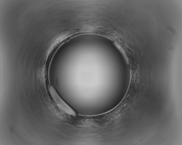 X0000112520244200908171400