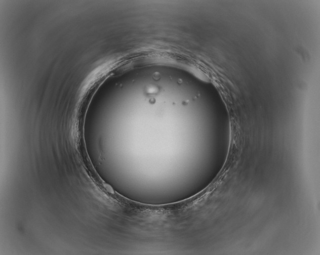 X0000112520245200908171400