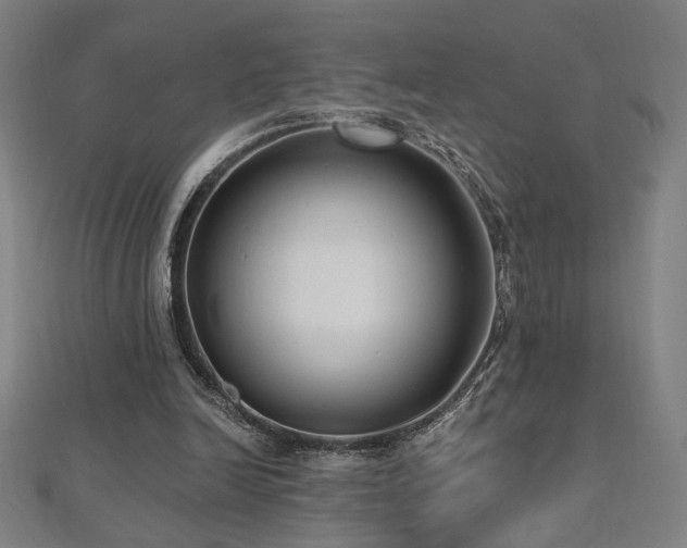 X0000112520246200908171401