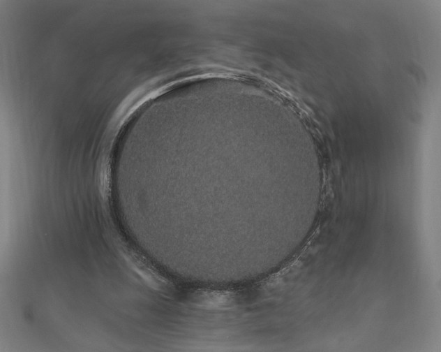 X0000112520247200908171401