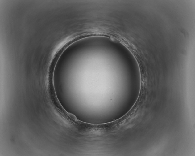 X0000112520248200908171401