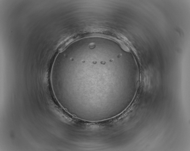 X0000112520249200908171401