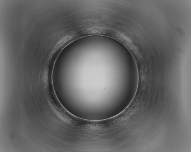 X0000112520250200908171401