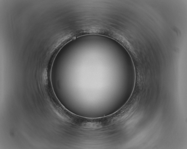 X0000112520251200908171401