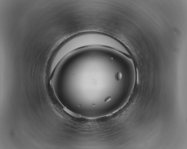 X0000112520252200908171401